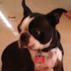 Meet your Posher, Greg